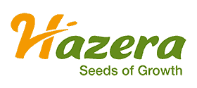 Hazera Hazera